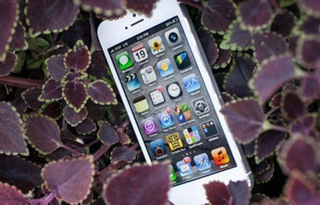 iPhone vắt kiệt sức Foxconn 